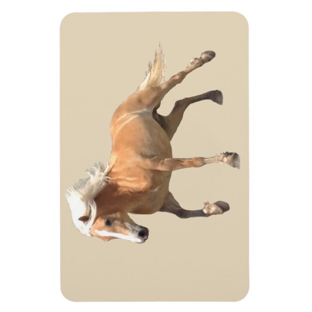 Haflinger Horse Magnet. Magnet (Vertical)