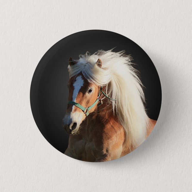 Haflinger Horse Pinback Button (Front)