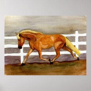 Haflinger Horse Portrait Poster