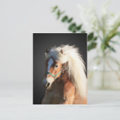 Haflinger Horse with beautiful mane Postcard (Standing Front)