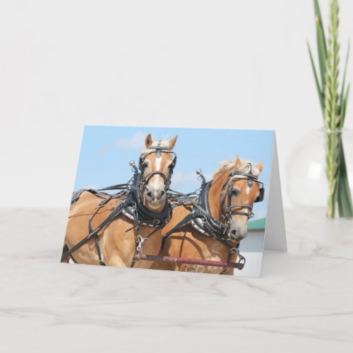 Haflinger Horses Card