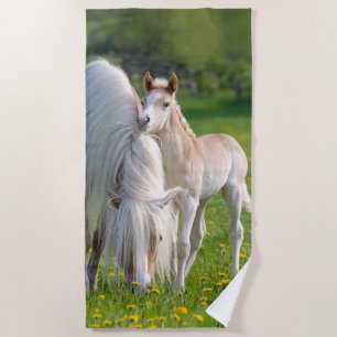 Haflinger Horses Cute Baby Foal With Mum Photo : Beach Towel