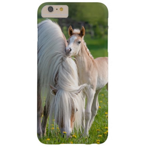 Haflinger Horses Cute Baby Foal With Mum Photo  Barely There iPhone 6 Plus Case