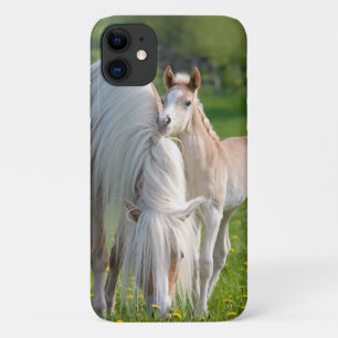 Haflinger Horses Cute Baby Foal With Mum Photo - iPhone 11 Case