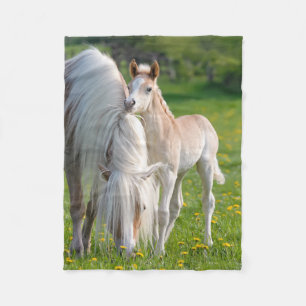Haflinger Horses Cute Baby Foal With Mum Photo . Fleece Blanket