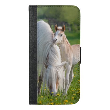 Haflinger Horses Cute Baby Foal With Mum Photo ... iPhone 6/6s Plus Wallet Case