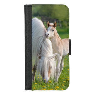 Haflinger Horses Cute Baby Foal With Mum Photo : iPhone 8/7 Wallet Case