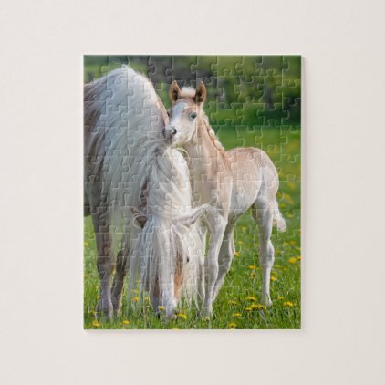 Haflinger Horses Cute Baby Foal With Mum Photo * Jigsaw Puzzle