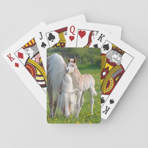 Haflinger Horses Cute Baby Foal With Mum Photo _ Playing Cards