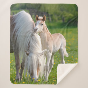 Haflinger Horses Cute Baby Foal With Mum Photo ... Sherpa Blanket