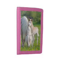 Haflinger Horses Cute Baby Foal With Mum Photo ,