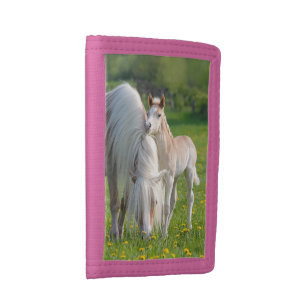 Haflinger Horses Cute Baby Foal With Mum Photo , Tri-fold Wallet