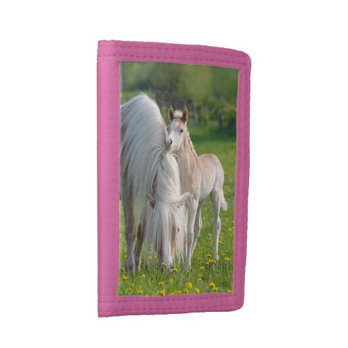 Haflinger Horses Cute Baby Foal With Mum Photo  Trifold Wallet