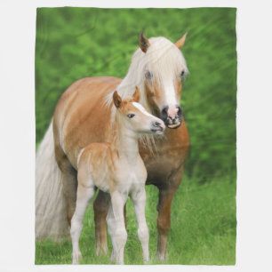 Haflinger Horses Cute Foal Kiss Mum Funny - cozy Fleece Blanket