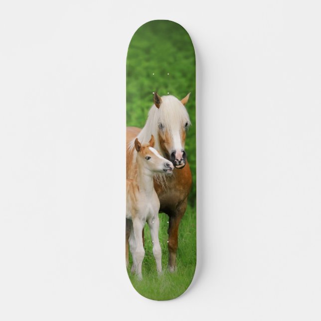Haflinger Horses Cute Foal Kiss Mum Photo Funny Skateboard Deck (Front)