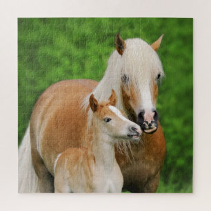 Haflinger Horses Cute Foal Kiss Mum Photo - Game Jigsaw Puzzle