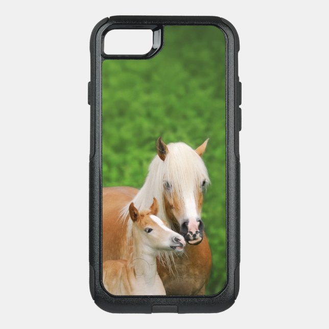 Haflinger Horses Cute Foal Kiss Mum Photo - on Otterbox iPhone Case (Back)