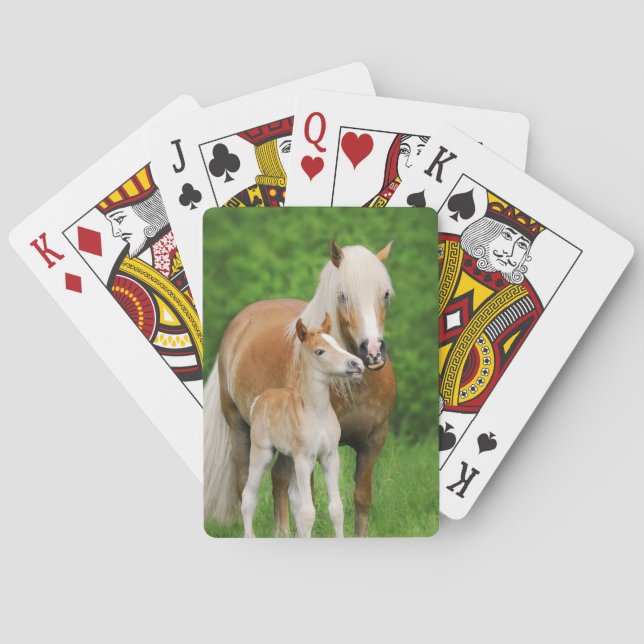 Haflinger Horses Cute Foal Kiss Mum Photo . Poker Cards (Back)