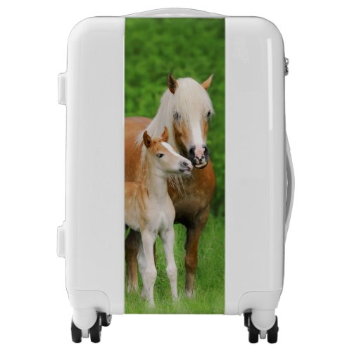 Haflinger Horses Cute Foal Kiss Mum Photo Suitcase