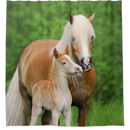 Haflinger Horses Cute Foal Kiss Mum Photo _ Tub Shower Curtain