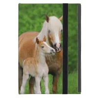 Equine Ipad Folio Case Ipad Air Ipad Mini Ipad Pro Designer 