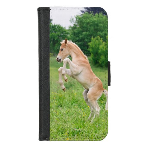 Haflinger Horses Cute Foals Friends Rearing Photo iPhone 87 Wallet Case