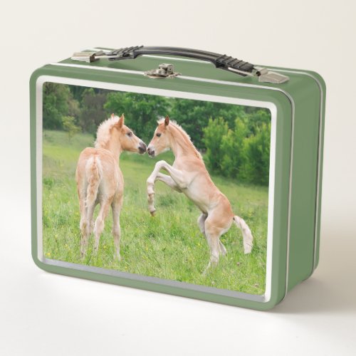 Haflinger Horses Cute Foals Friends Rearing Photo Metal Lunch Box