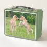 Haflinger Horses Cute Foals Friends Rearing Photo Metal Lunch Box