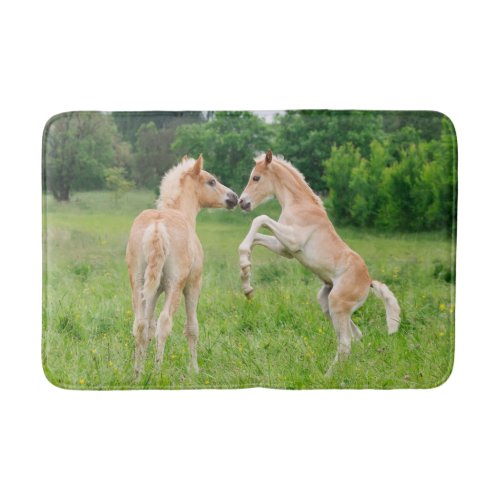 Haflinger horses cute foals rearing and playing _ bath mat