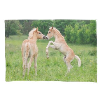 Haflinger Horses Cute Foals Rearing And Playing - Pillowcase by Kathom_Photo at Zazzle