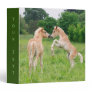 Haflinger Horses Cute Foals Rearing Funny Photo - 3 Ring Binder