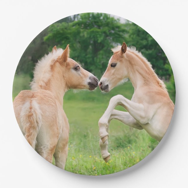 Haflinger Horses Cute Foals Rearing, Happy Party Paper Plates (Front)