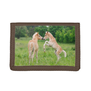 Haflinger horses cute foals rearing tri-fold wallet