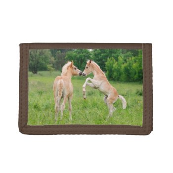 Haflinger Horses Cute Foals Rearing Trifold Wallet by Kathom_Photo at Zazzle