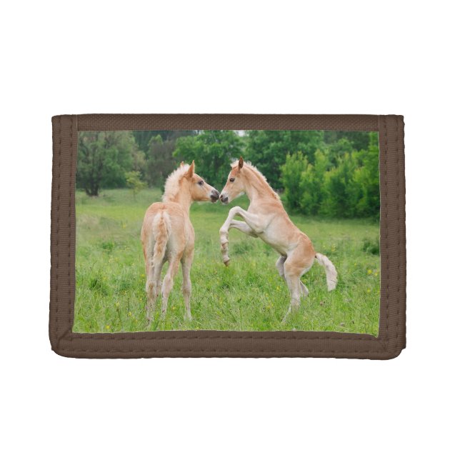 Haflinger horses cute foals rearing trifold wallet (Front)