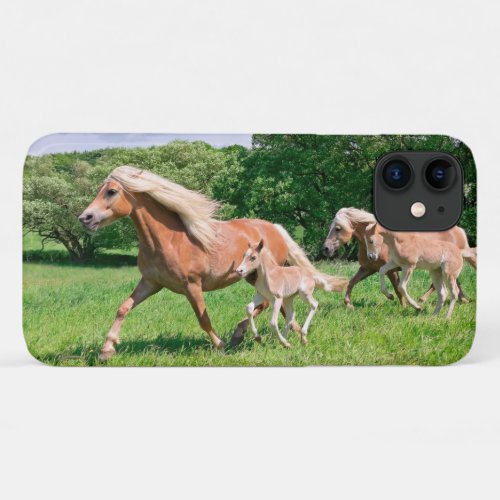 Haflinger Horses Cute Foals Run Funny Animal Photo iPhone 11 Case