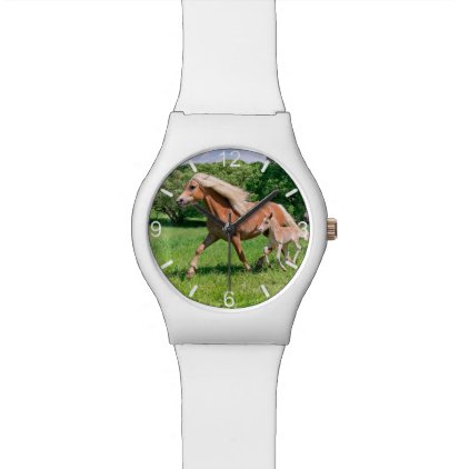 Haflinger Horses Cute Foals Run Funny - dial-plate Watch