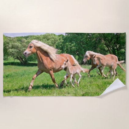 Haflinger Horses with Cute Foals Run Funny Photo _ Beach Towel