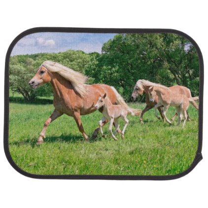 Haflinger Horses with Cute Foals Run Funny Photo . Car Floor Mat