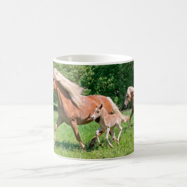 Haflinger Horses with Cute Foals Run Funny Photo . Coffee Mug (Center)