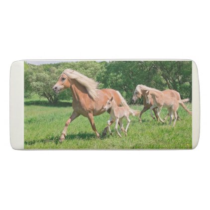 Haflinger Horses with Cute Foals Run Funny Photo Eraser