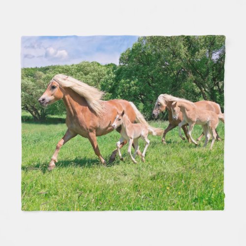 Haflinger Horses with Cute Foals Run Funny Photo Fleece Blanket