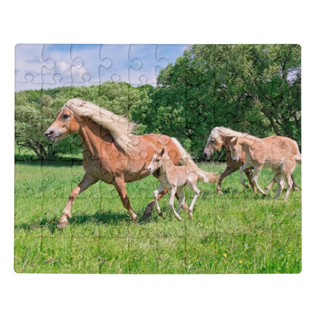 Haflinger Horses with Cute Foals Run Funny Photo . Jigsaw Puzzle (Puzzle Horizontal)