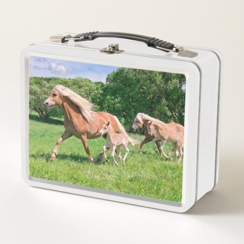 Haflinger Horses with Cute Foals Run Funny Photo  Metal Lunch Box