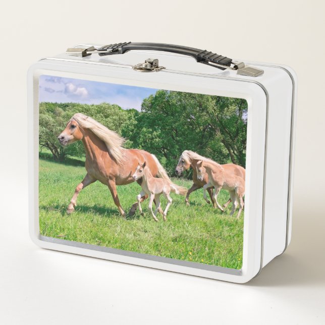 Haflinger Horses with Cute Foals Run Funny Photo " Metal Lunch Box (Front)