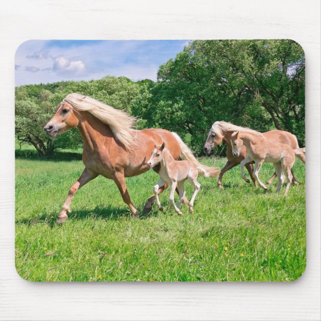 Haflinger Horses with Cute Foals Run Funny Photo - Mouse Pad (Front)