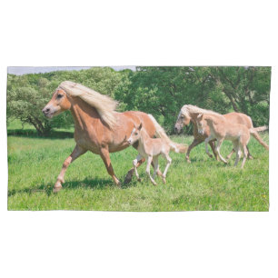 Haflinger Horses with Cute Foals Run Funny Photo - Pillow Case