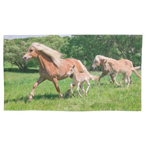 Haflinger Horses with Cute Foals Run Funny Photo _ Pillow Case