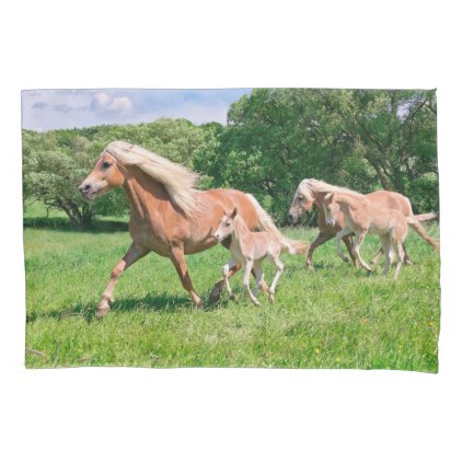 Haflinger Horses with Cute Foals Run Funny Photo . Pillowcase