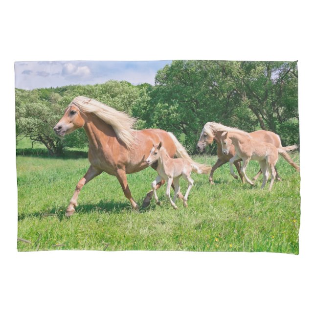 Haflinger Horses with Cute Foals Run Funny Photo . Pillowcase (Front)